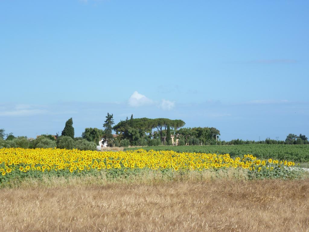 ريوتورتو Casa Vacanze Vignarca - Localita Perelli المظهر الخارجي الصورة