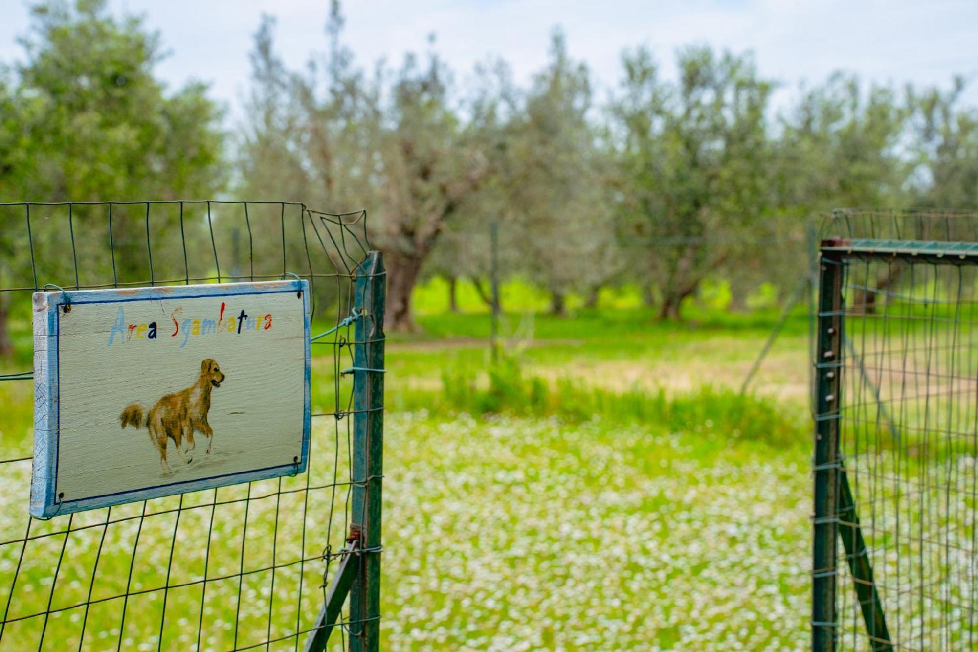 ريوتورتو Casa Vacanze Vignarca - Localita Perelli المظهر الخارجي الصورة