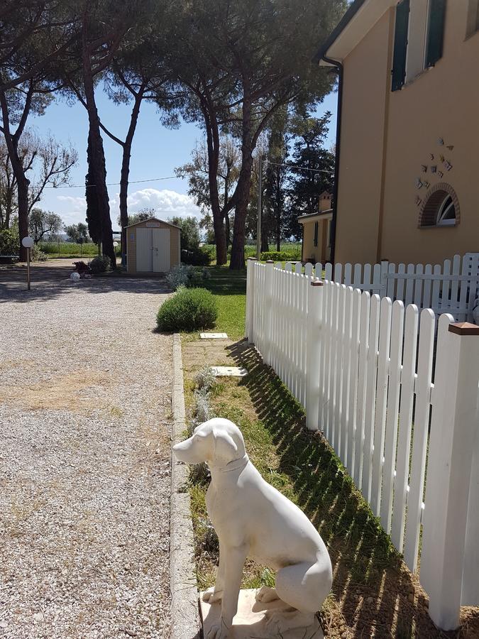 ريوتورتو Casa Vacanze Vignarca - Localita Perelli المظهر الخارجي الصورة